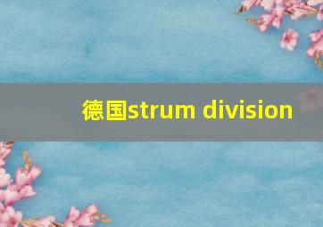 德国strum division